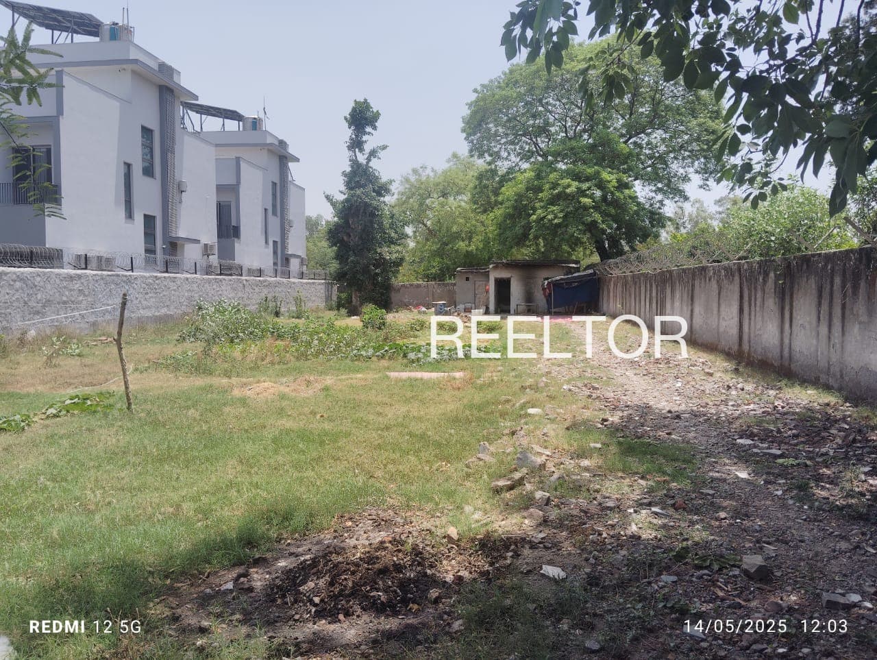 Plots For Rent In Ganehra Mandi
