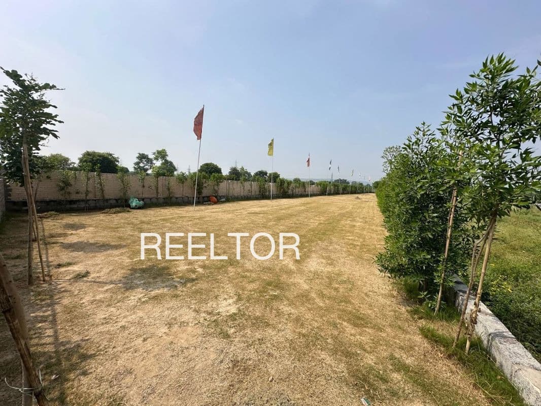 Plots For Rent In Mundjori Lachhmangarh