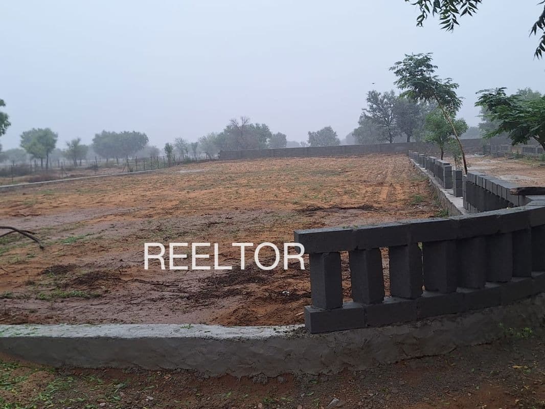 Plots For Rent In Ganehra Mandi
