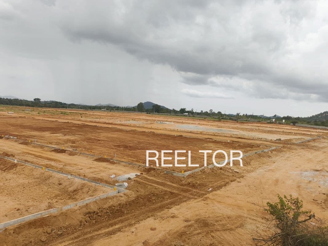 Plots For Rent In Kitchan Kattu Valavu Omalur