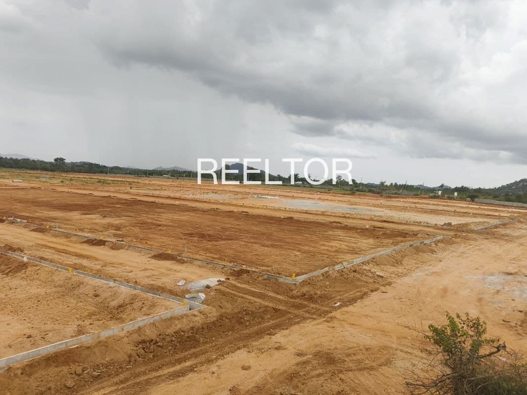 Plots For Rent In Jawal Chachyot