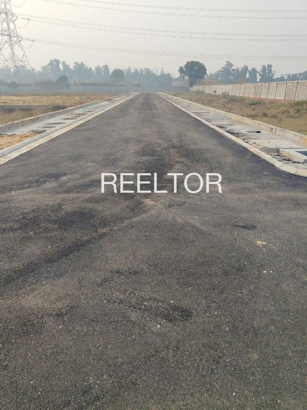 Plots For Rent In Shnkarpur Shajapur