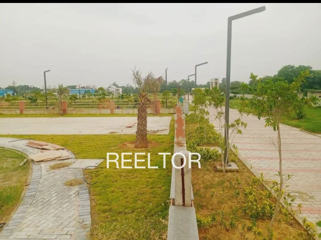 Plots For Rent In Rashyali Theog