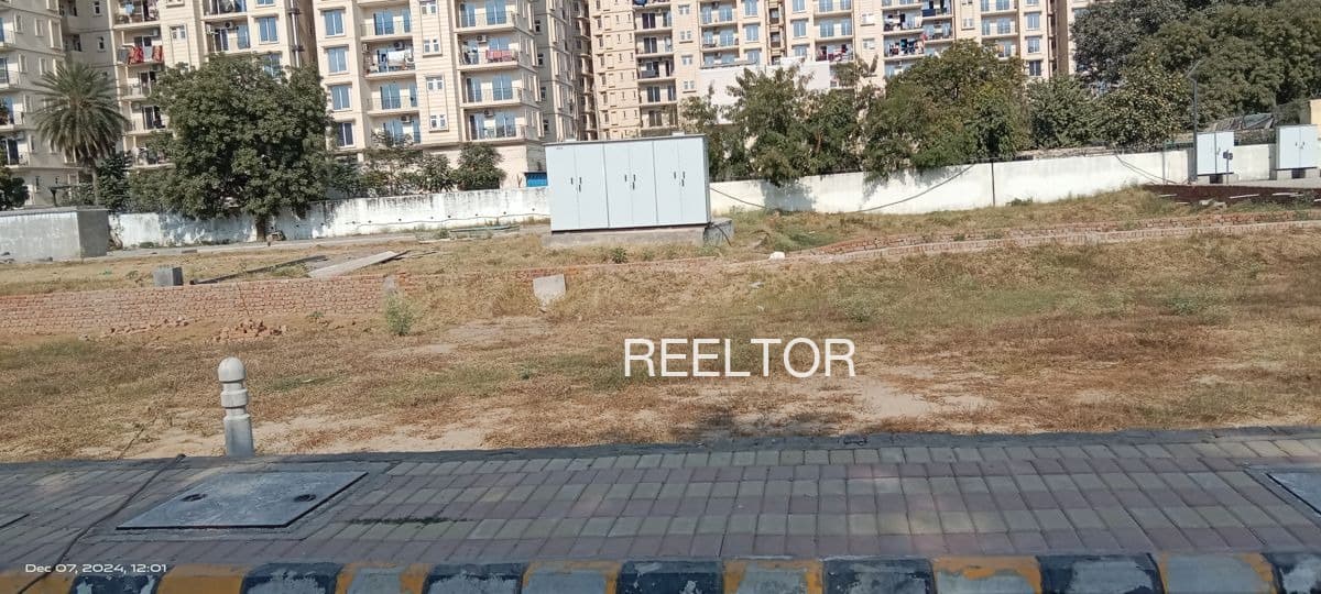 Plots For Rent In Bhimnala Zari Jamani