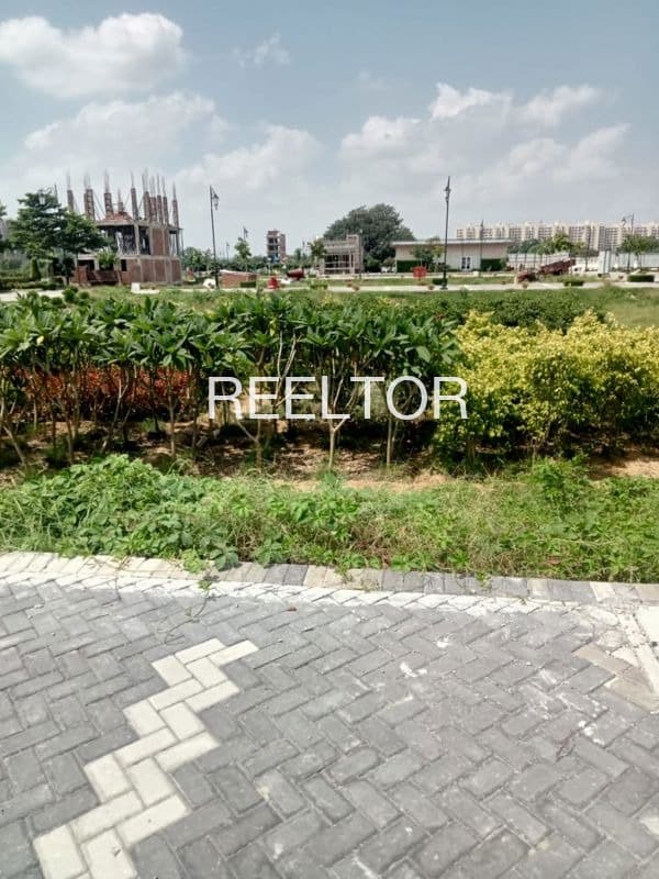Plots For Rent In Lalganj Kishanganj