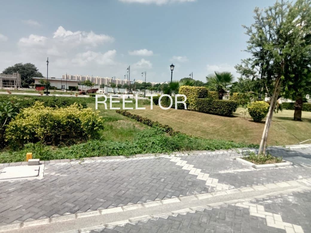 Plots For Rent In Naliyali Bhagal Rajsamand