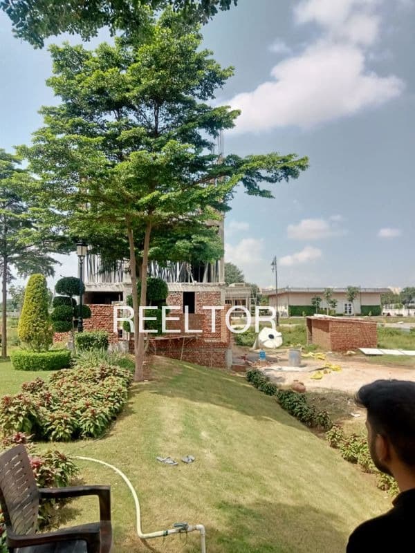 Plots For Rent In Ranaheda Ghatiya