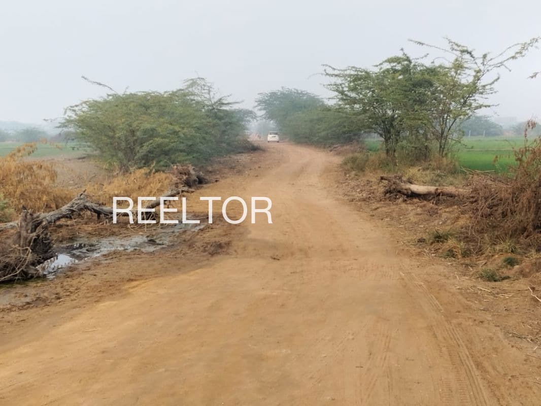 Plots For Rent In Gyanpura Bhind