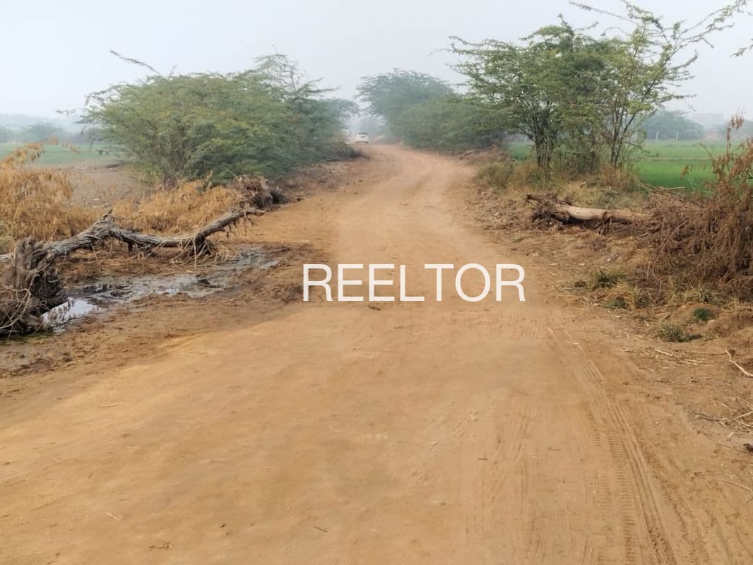 Plots For Rent In Ganehra Mandi