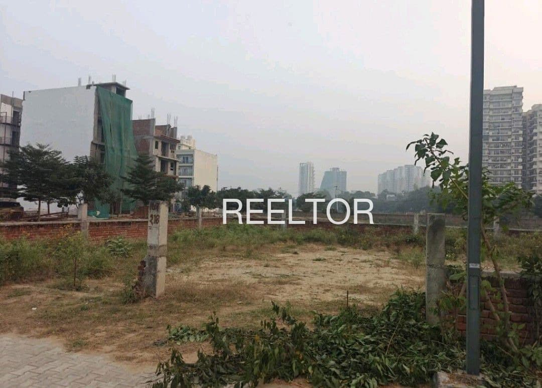 Plots For Rent In Alipura Amroha