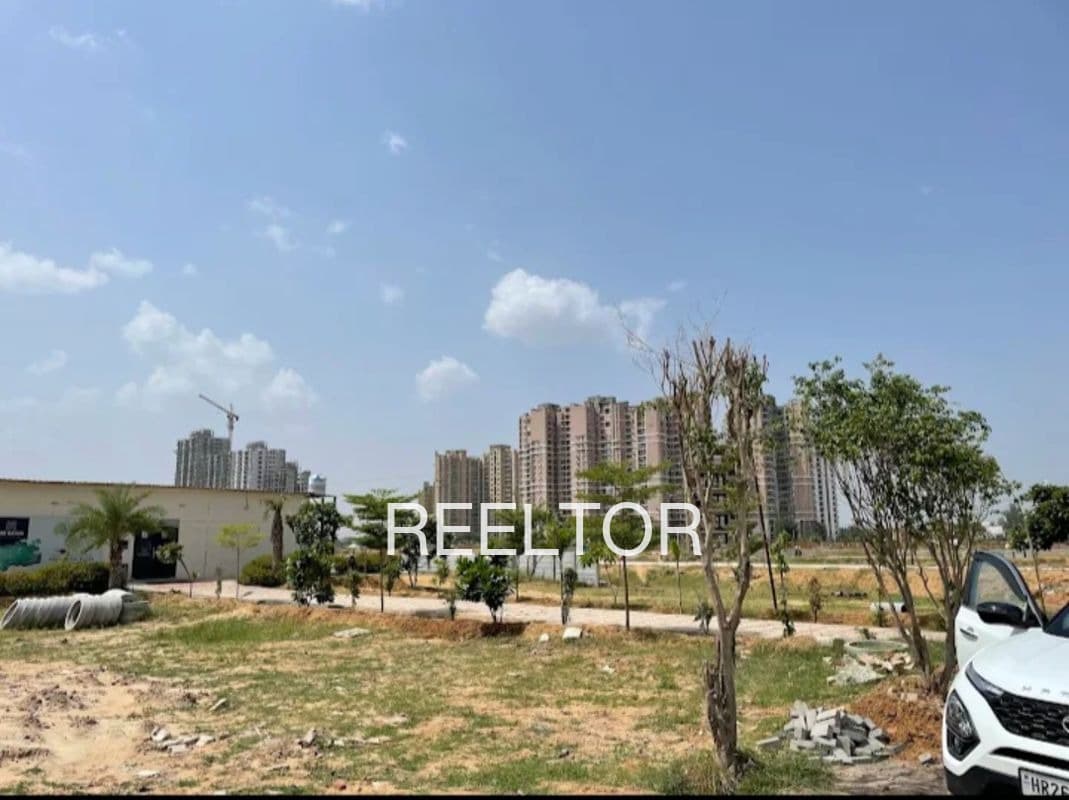 Plots For Rent In Daheli Gabhana