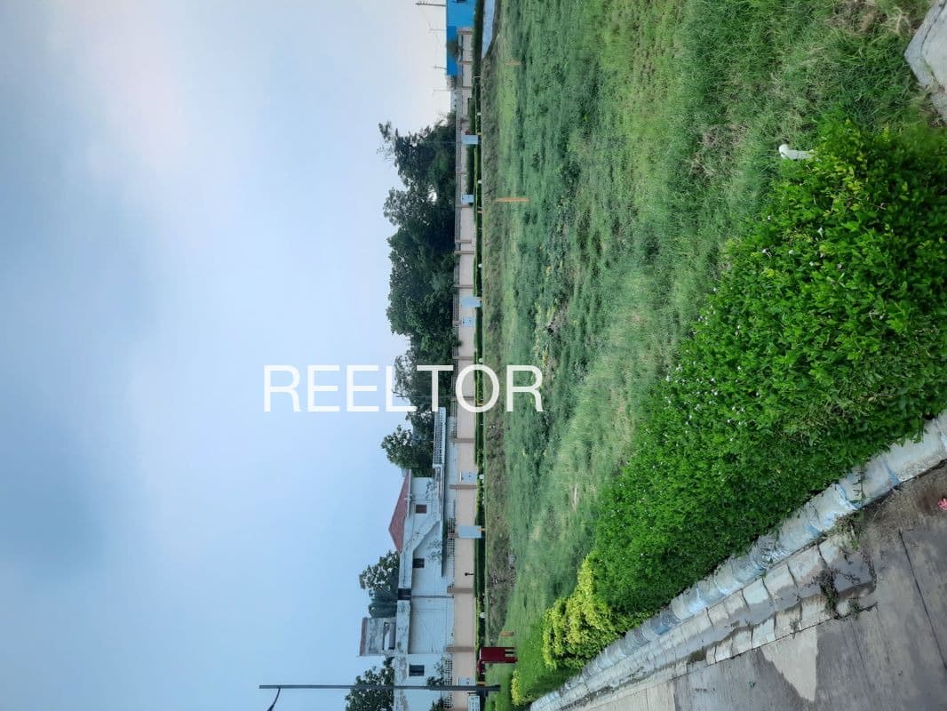 Plots For Rent In Ravanwadi Betul