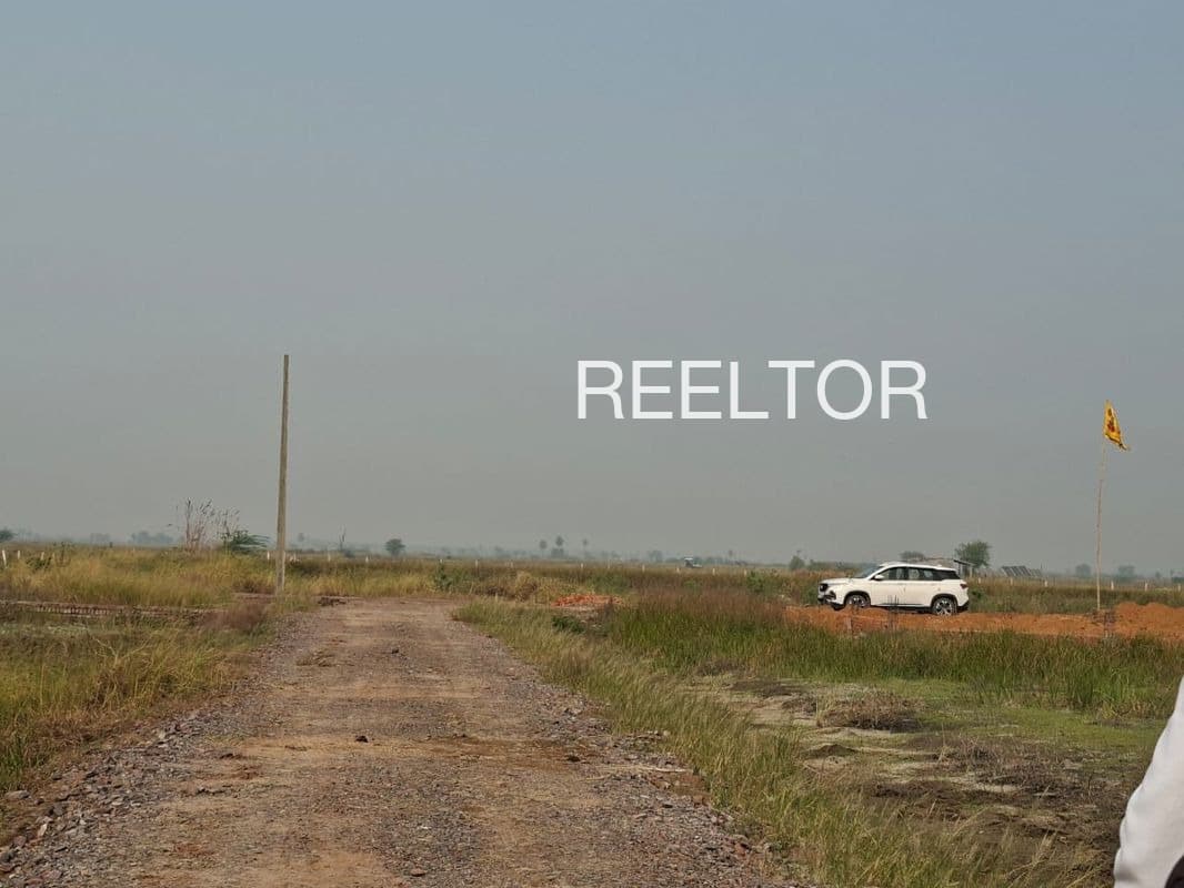 Plots For Rent In Raipurabuzurg Seondha