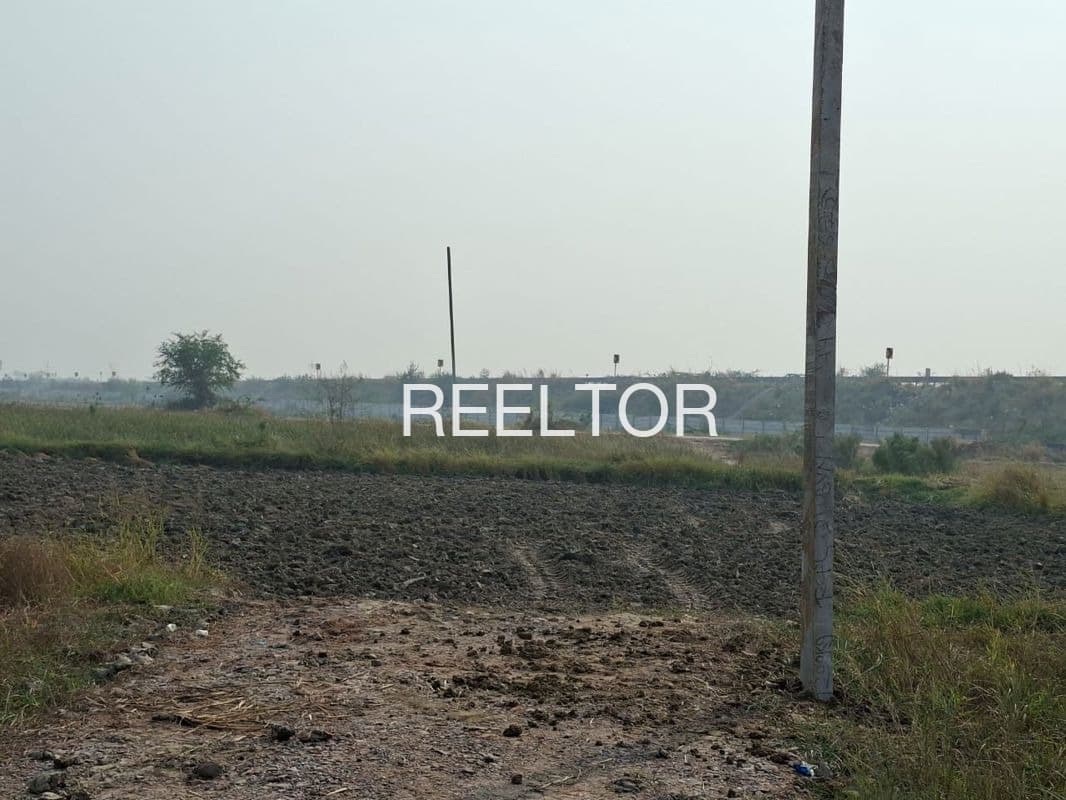 Plots For Rent In Barhadhana Amarwara