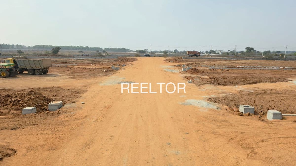 Plots For Rent In Patur Maharashtra