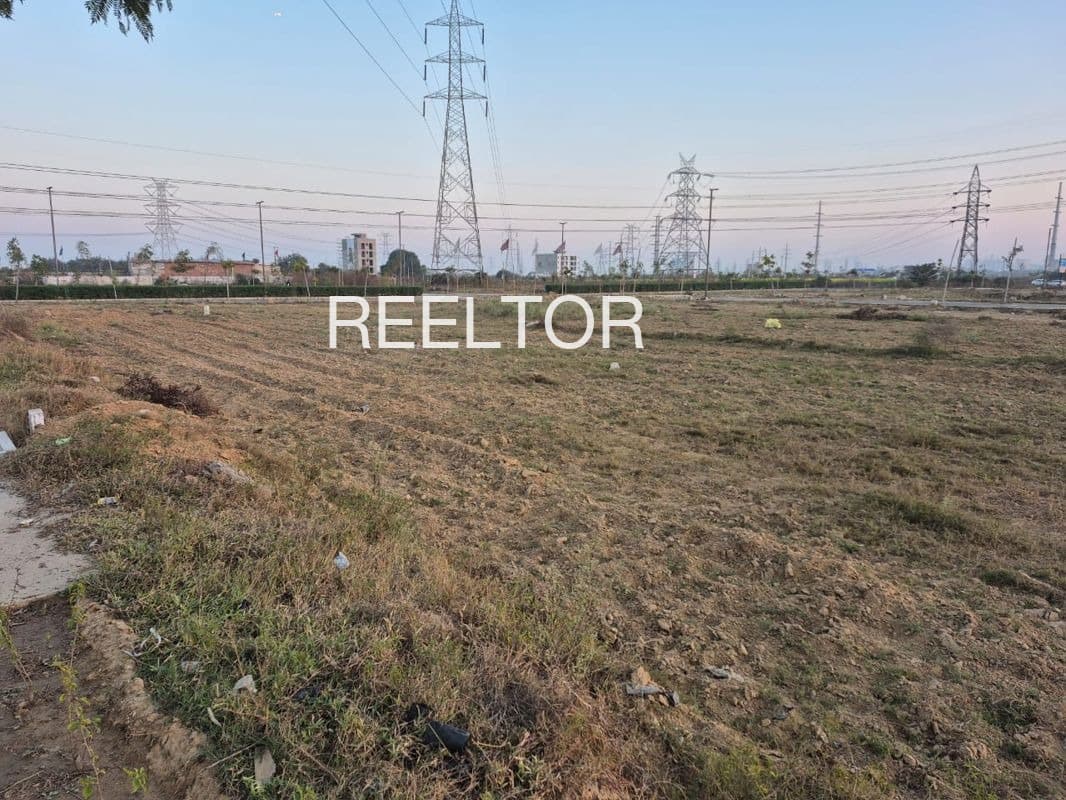 Plots For Rent In Gaoda Goojar Hindaun