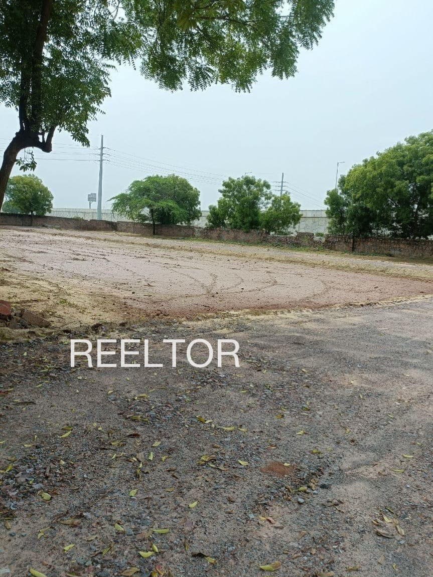 Plots For Rent In Mundjori Lachhmangarh