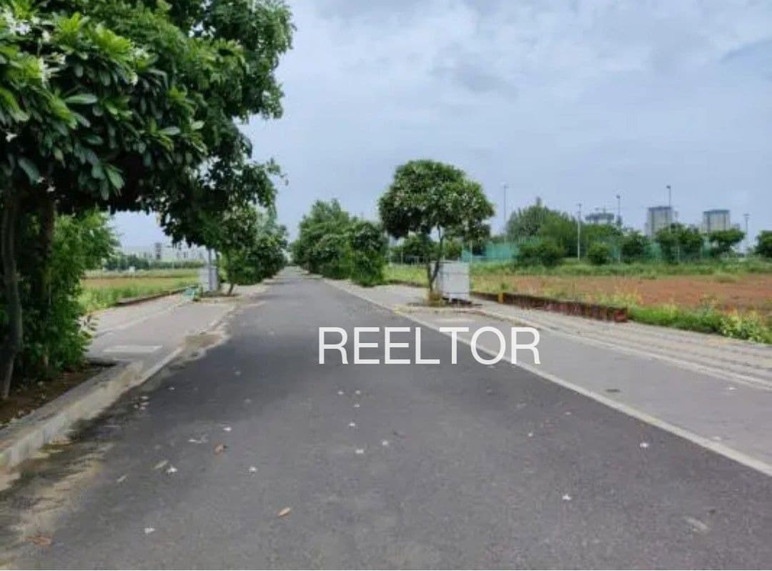 Plots For Rent In Kachnara Pratapgarh