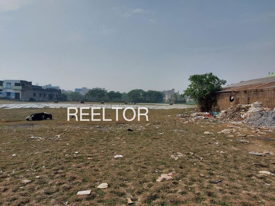 Plots For Rent In Kachnara Pratapgarh