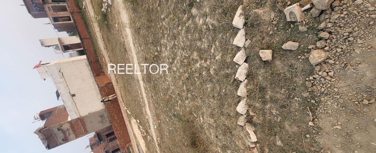 Plots For Rent In Walayat Shahwala Zira