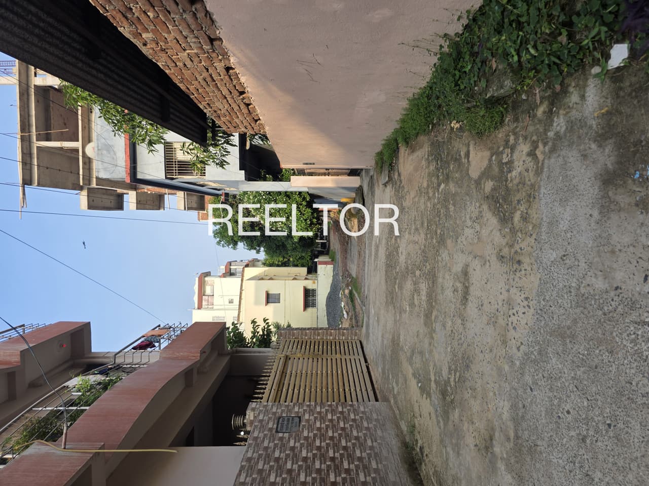 Plots For Rent In Sahli Kotli