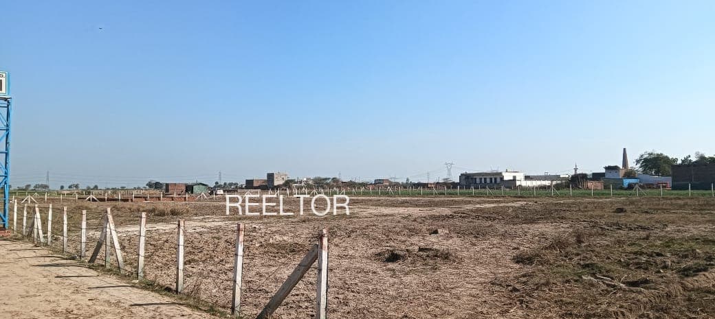 Plots For Rent In Panti Shimla