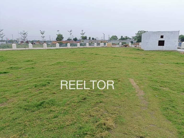 Plots For Rent In Sharas Bali Chowki