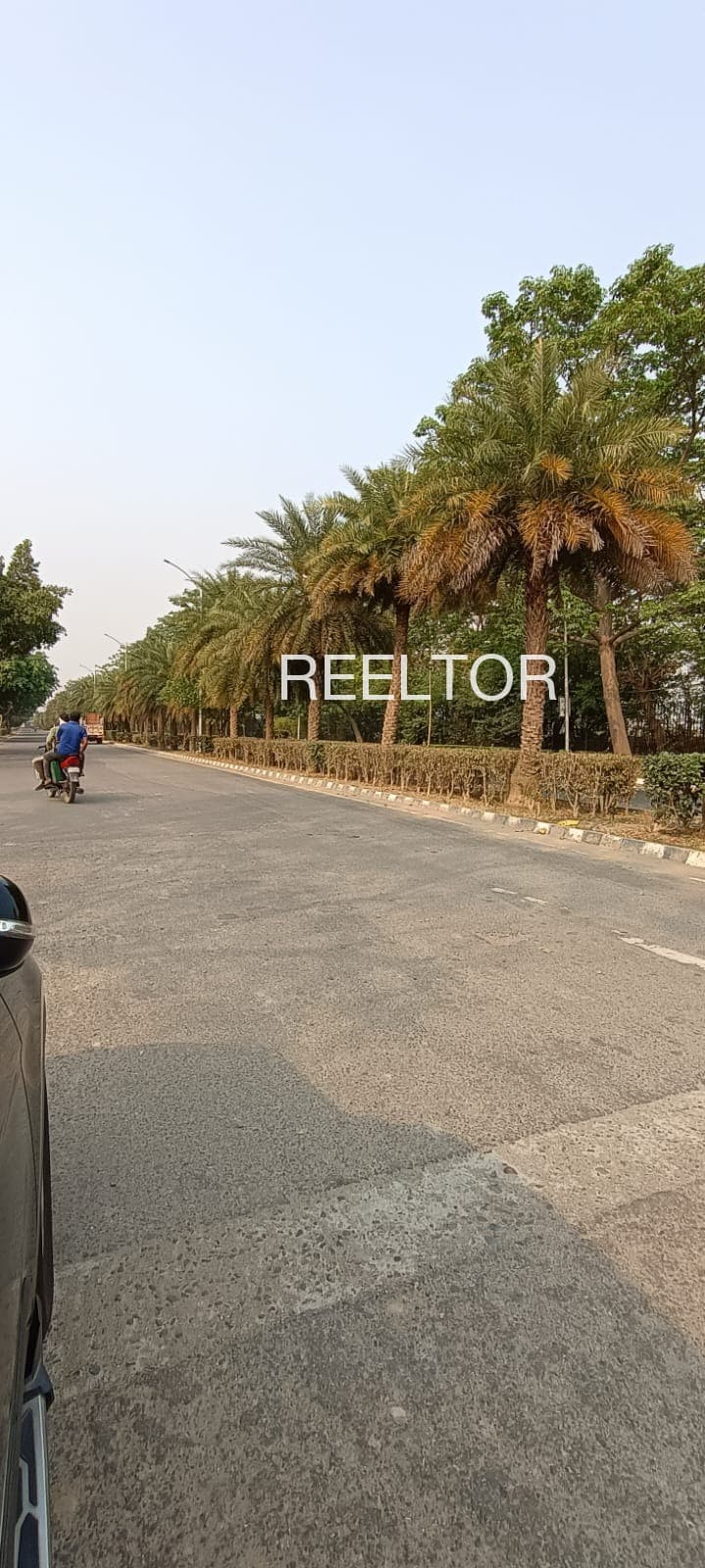 Plots For Rent In Shuran Mandi