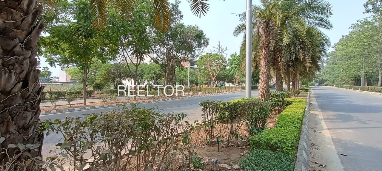 Plots For Rent In Kohur Kilvelur