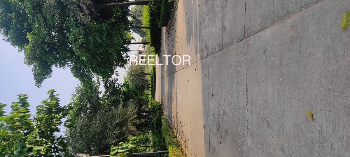 Plots For Rent In Old Delhi Kotwali