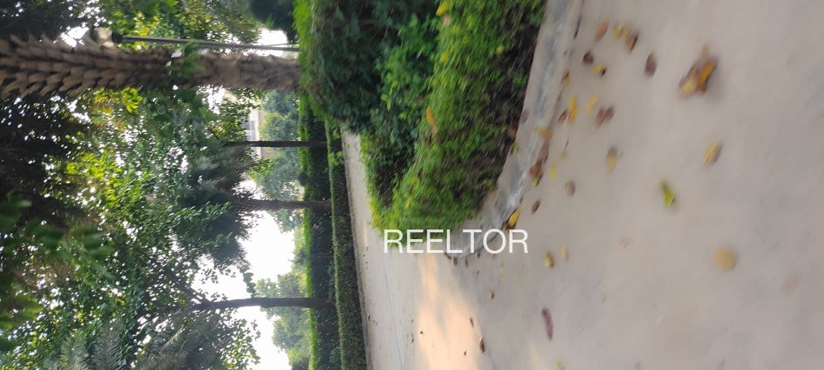 Plots For Rent In Tari Goharganj