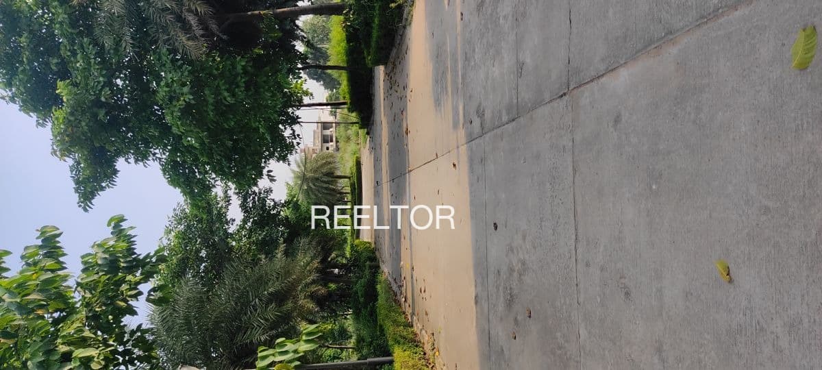 Plots For Rent In Kufar Kandaghat