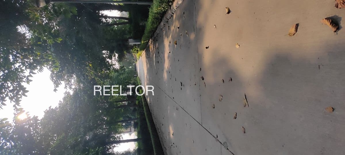 Plots For Rent In Karamwara Baraily