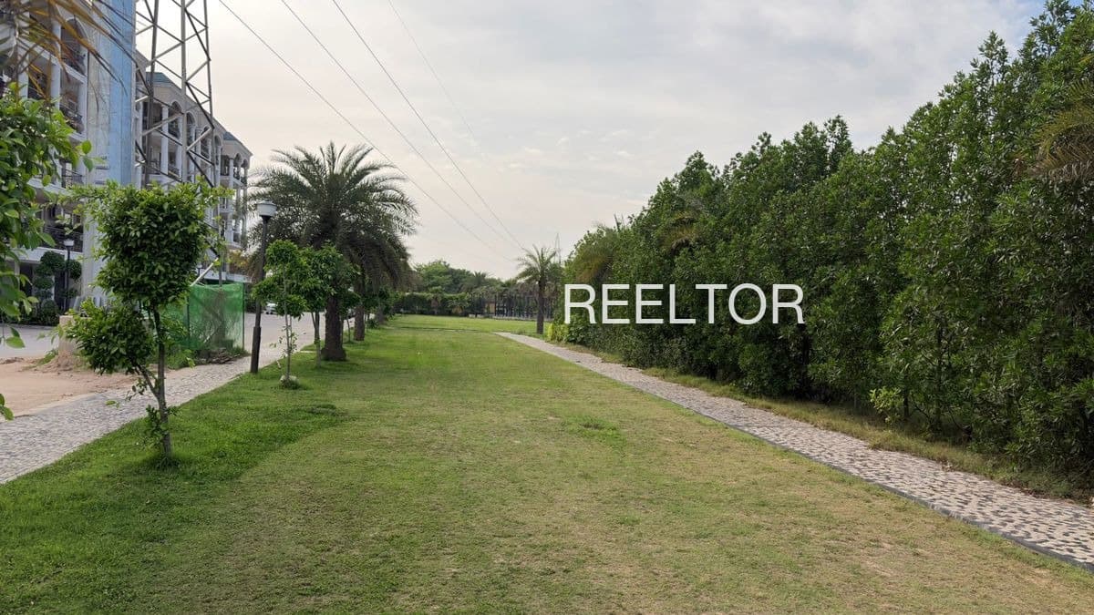 Plots For Rent In Moothedath Colony Palakkad