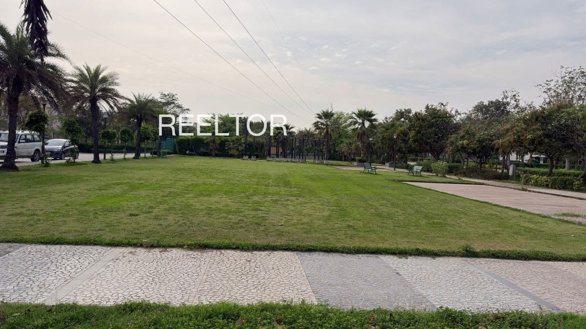 Plots For Rent In Cheppumpara Kanjirappally