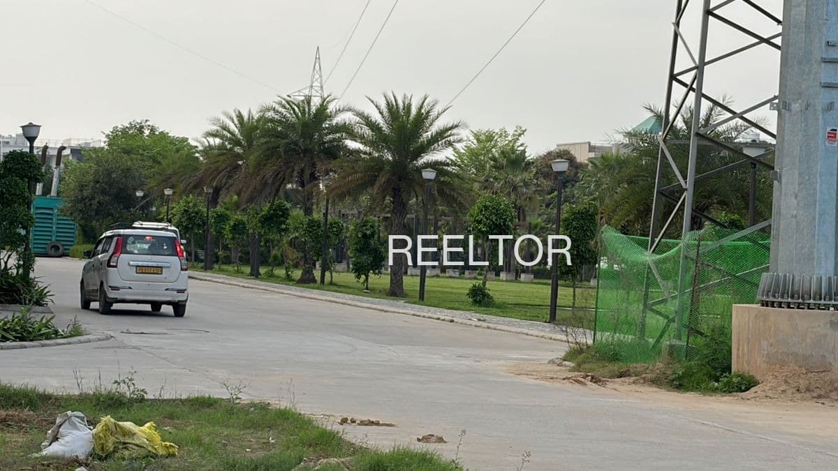 Plots For Rent In Moti Lank Pratapgarh