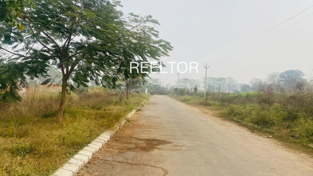 Plots For Rent In Dehraarla Kangra