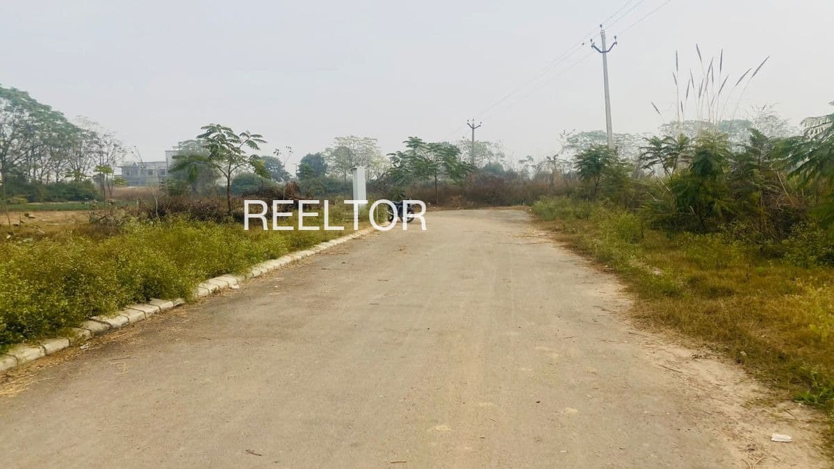 Plots For Rent In Thinnakonam Musiri