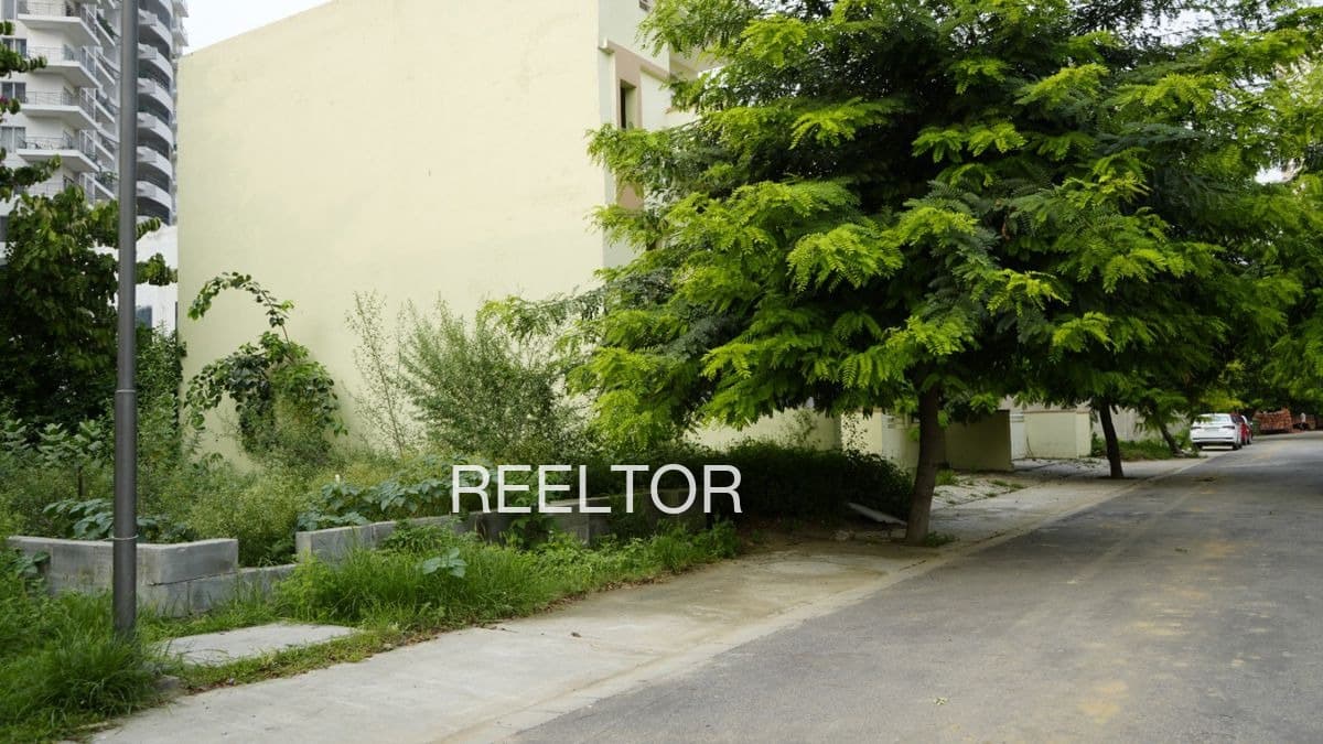 Plots For Rent In Mohtla Mandi