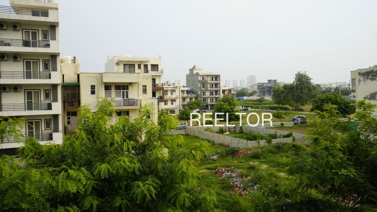 Plots For Rent In Sharas Bali Chowki