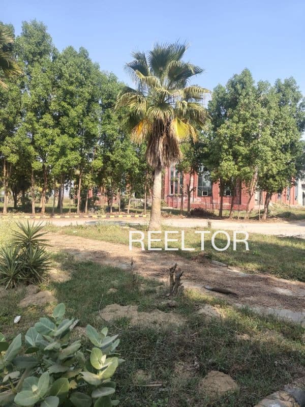 Plots For Rent In Moorthiyambalpural Orathanadu