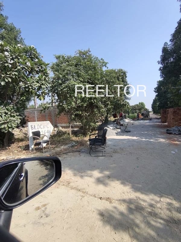 Plots For Rent In Ghuttigarh Betul
