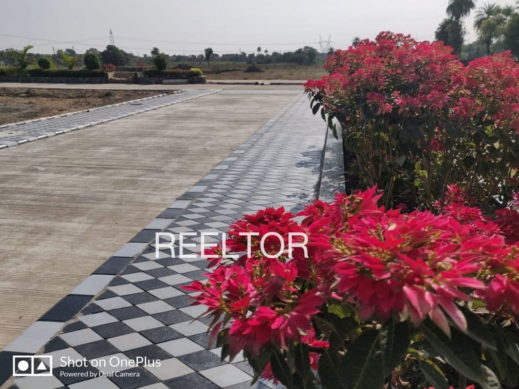 Plots For Rent In Nanpara Uttar Pradesh