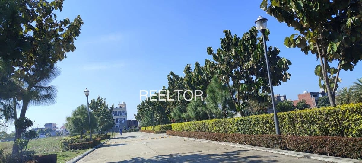 Plots For Rent In Maruthampuzha Colony Palakkad