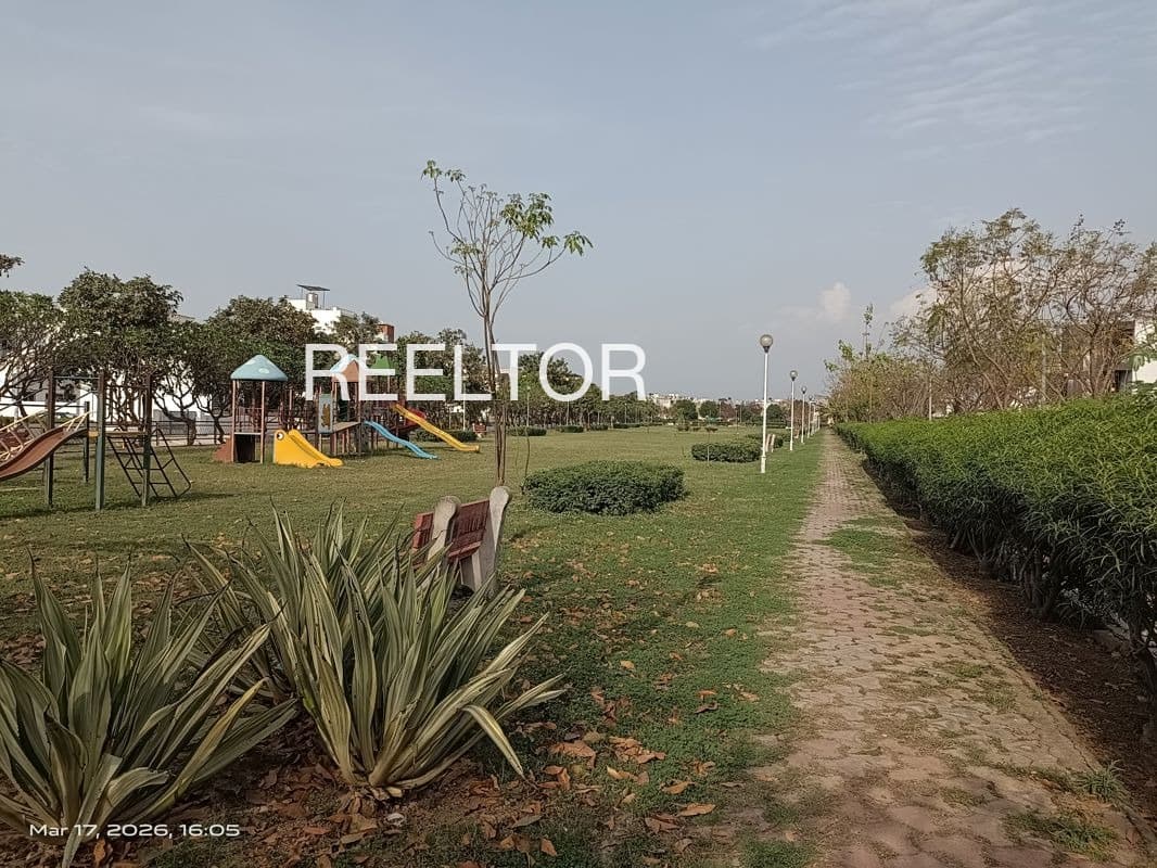 Plots For Rent In Shuran Mandi