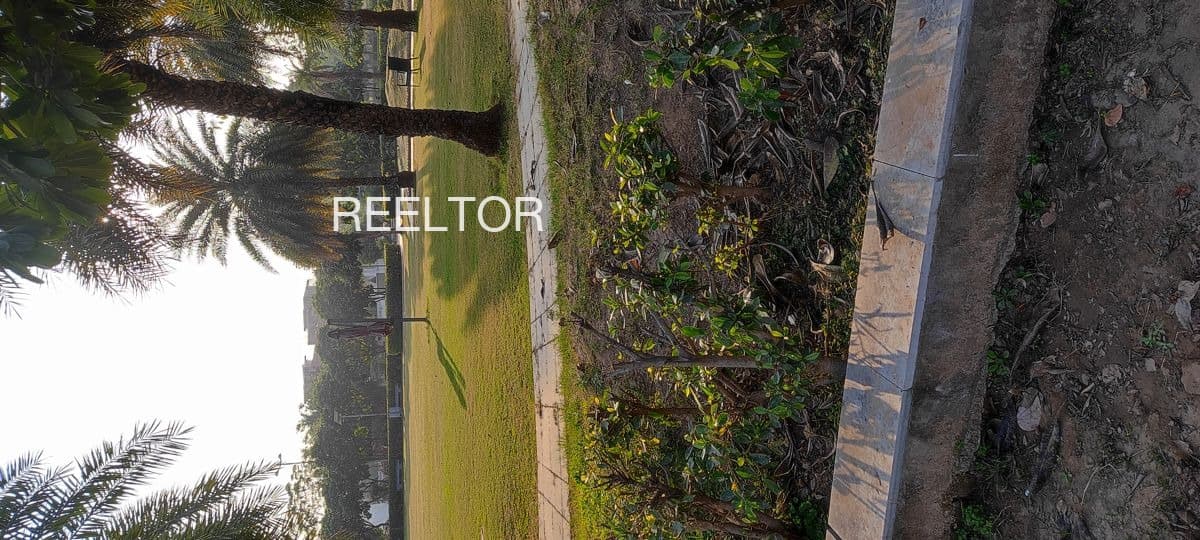 Plots For Rent In Manddakaparabu Colony Tirur