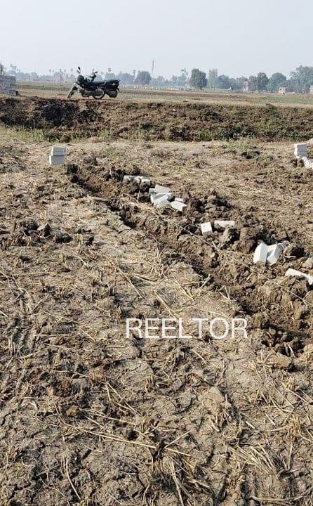 Plots For Rent In Paretha Nowgong