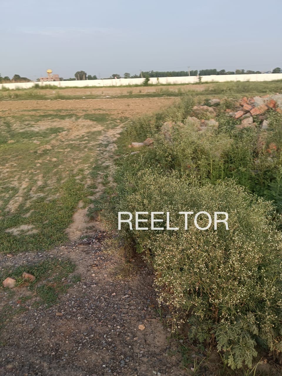 Plots For Rent In Anjanpur Ambejogai