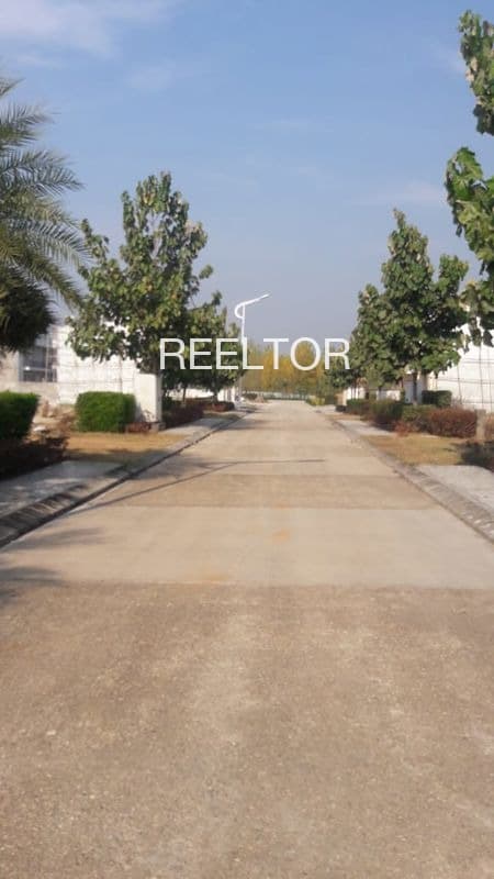 Plots For Rent In Keloban Sainj