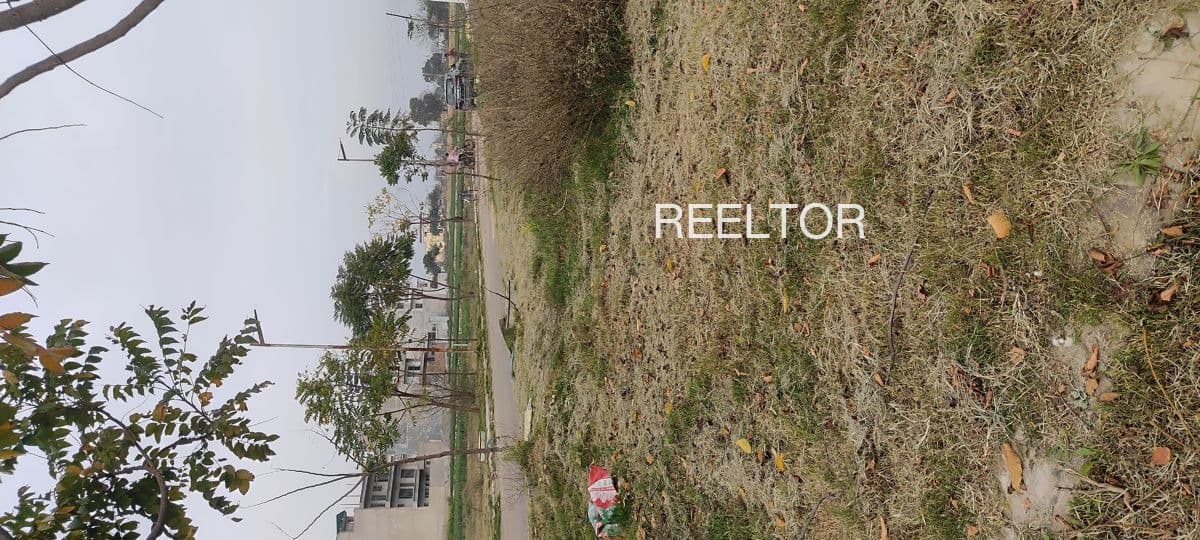 Plots For Rent In Pambaarampatti Thirumayam